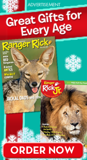 Ranger Rick magazines make great gifts!
